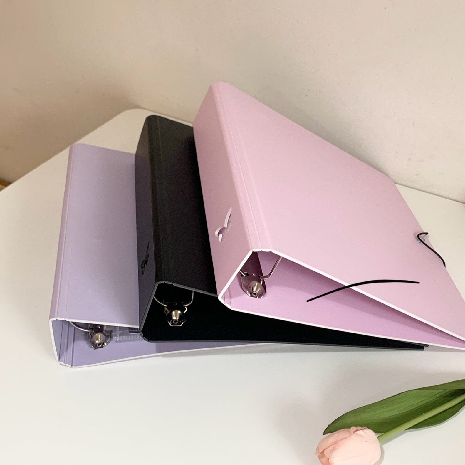 CeyiJun A4 Plus 2 Inch Minimalist Photocard Binder w Butterfly Cutout